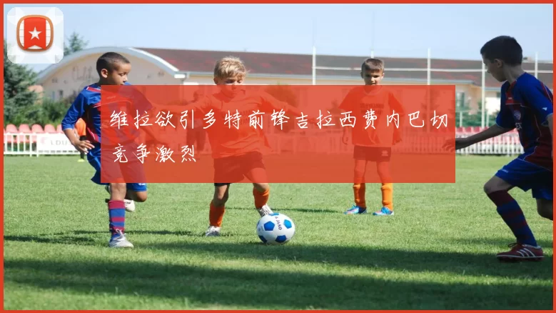 维拉欲引多特前锋吉拉西费内巴切竞争激烈