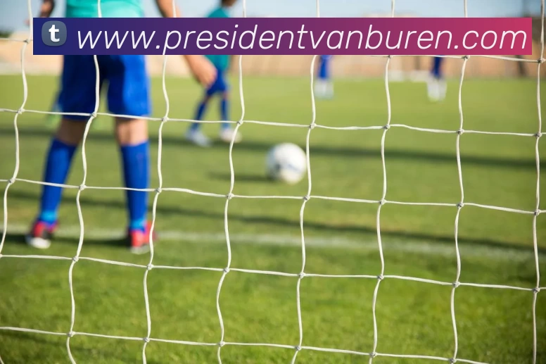 互动解说服务